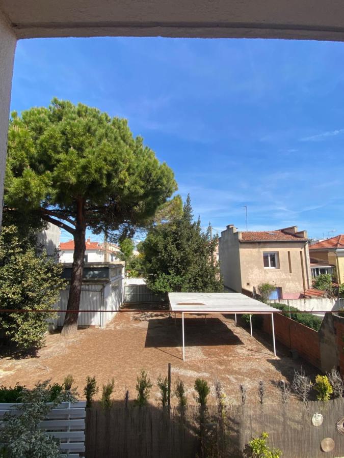 L'albertini-appartement Elegant Avec Terrasse-parking Gratuit- Apartment